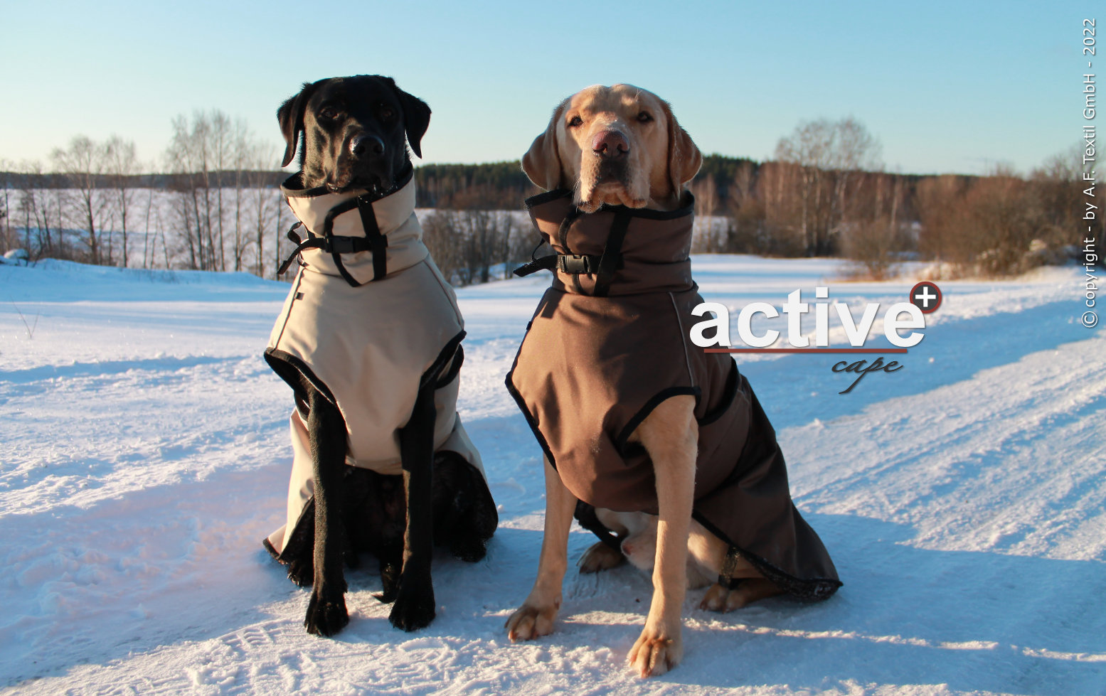 Active Cape PLUS - Hundemantel AUSLAUFMODELL Gr. M