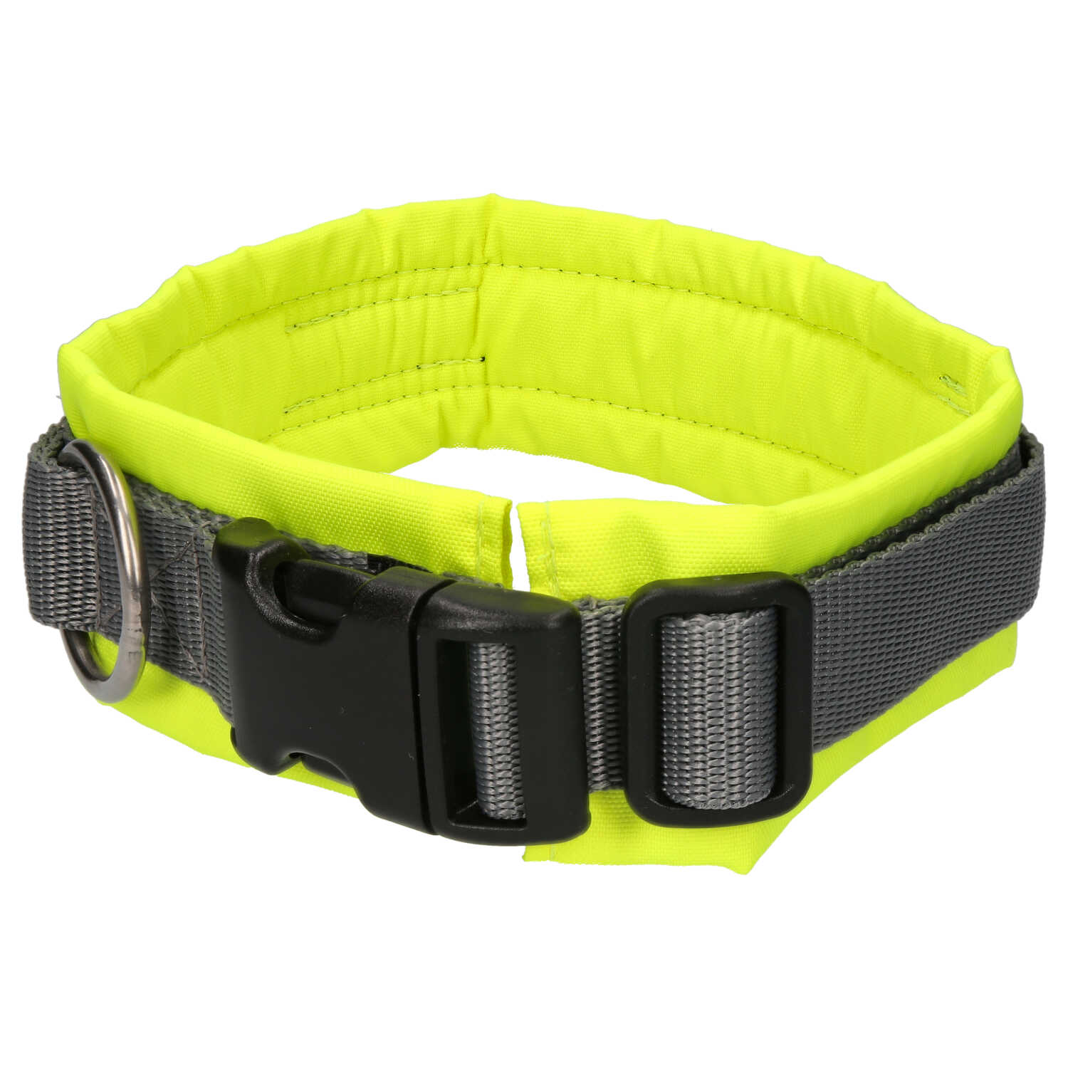 Gepolsterte Steckhalsbänder für Hunde Protect