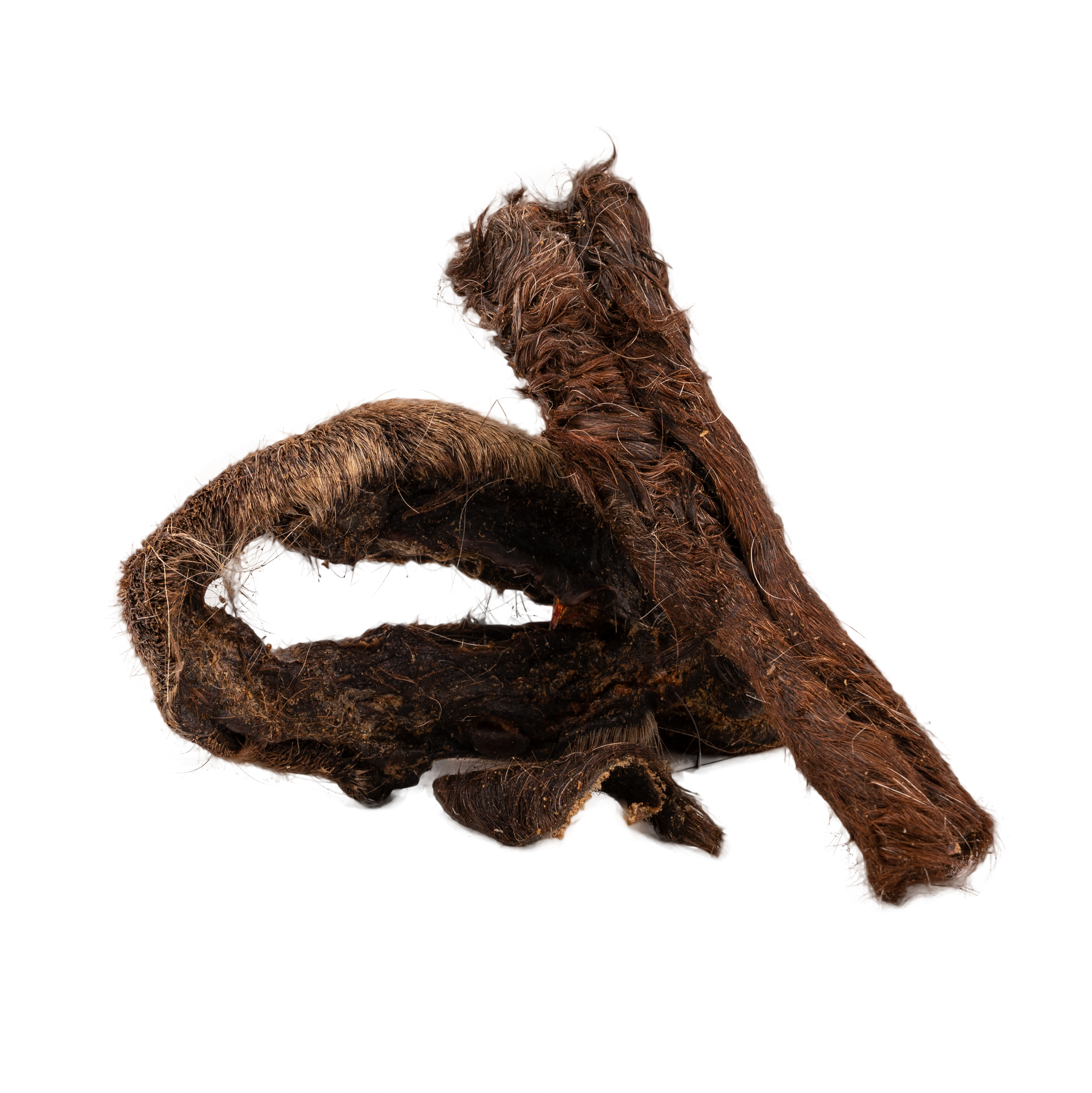 Pferdehaut mit Fell für Hunde