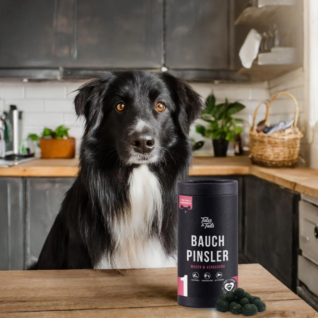 Bauchpinsler - Verdauungs-Snack für Hunde