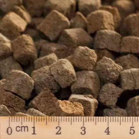 BUBECK - Lamm No. 88  gebackenes Trockenfutter für Hunde