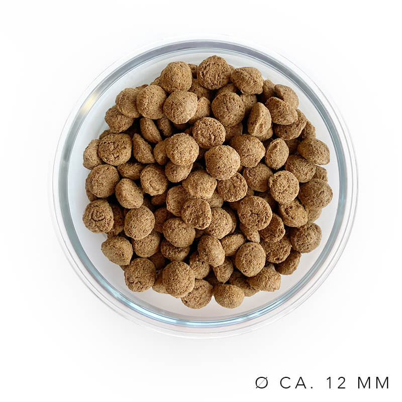 Patentrezept Trockenfutter für Hunde - Alleinfutter aus Insekten