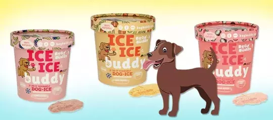 BegBuddy ICE ICE BUDDY - BIO Hundeeis-Pulver in 3 Sorten