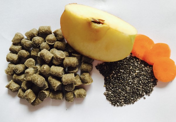 Skóli - Belohnungsleckerli mit Lamm und Kartoffeln