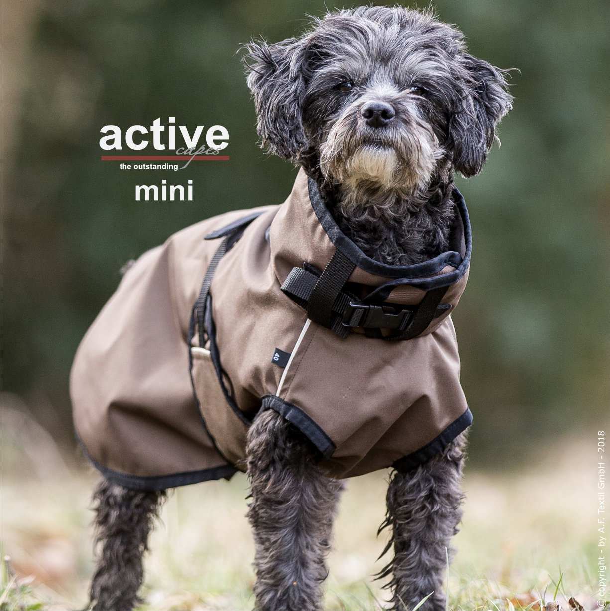 Active Cape Light MINI Hundemantel AUSLAUFMODELL