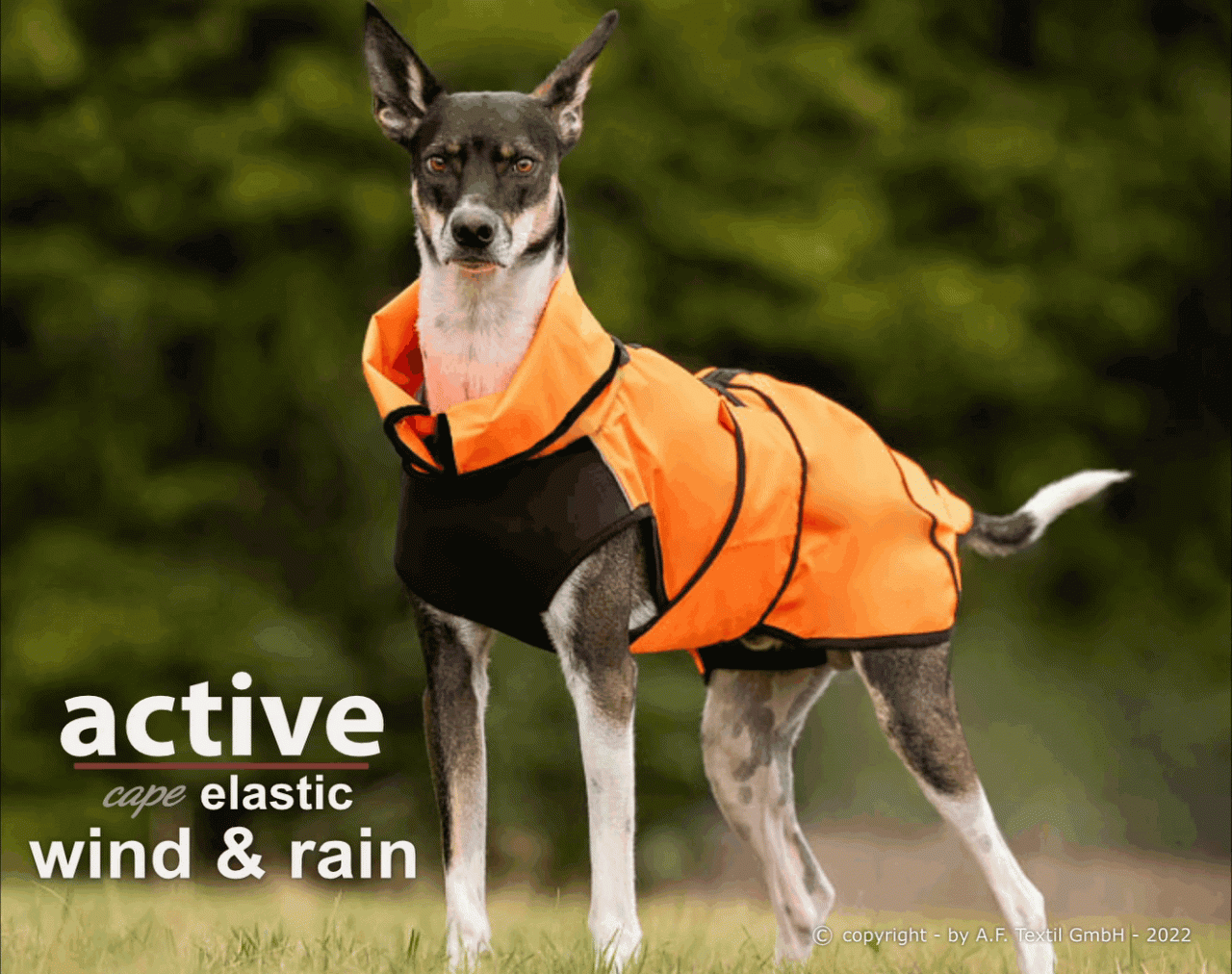 ACTIVE CAPE ELASTIC WIND & RAIN Hundemantel