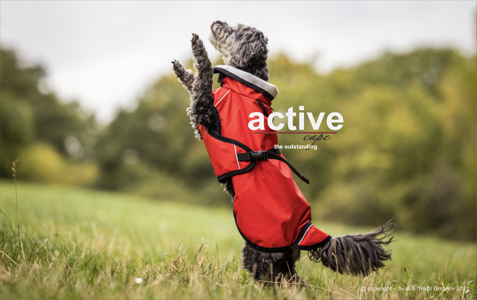 Active Cape Light MINI Hundemantel AUSLAUFMODELL