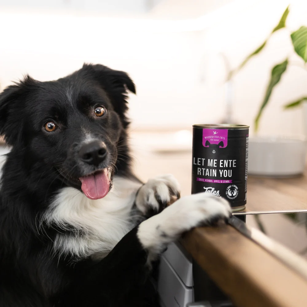 Tales&Tails Let me ENTErtain you - Nassfutter Ente für Hunde 400g