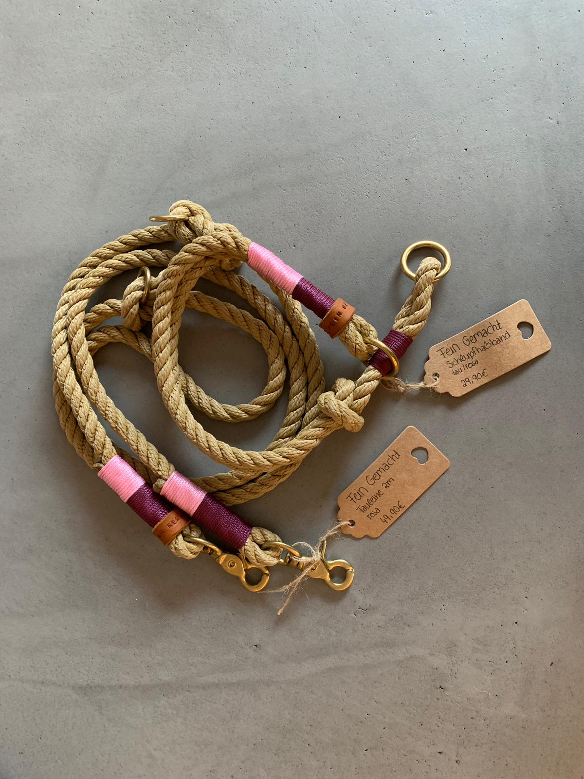 Tau- Leinenset für Hunde mit Schlupfhalsband