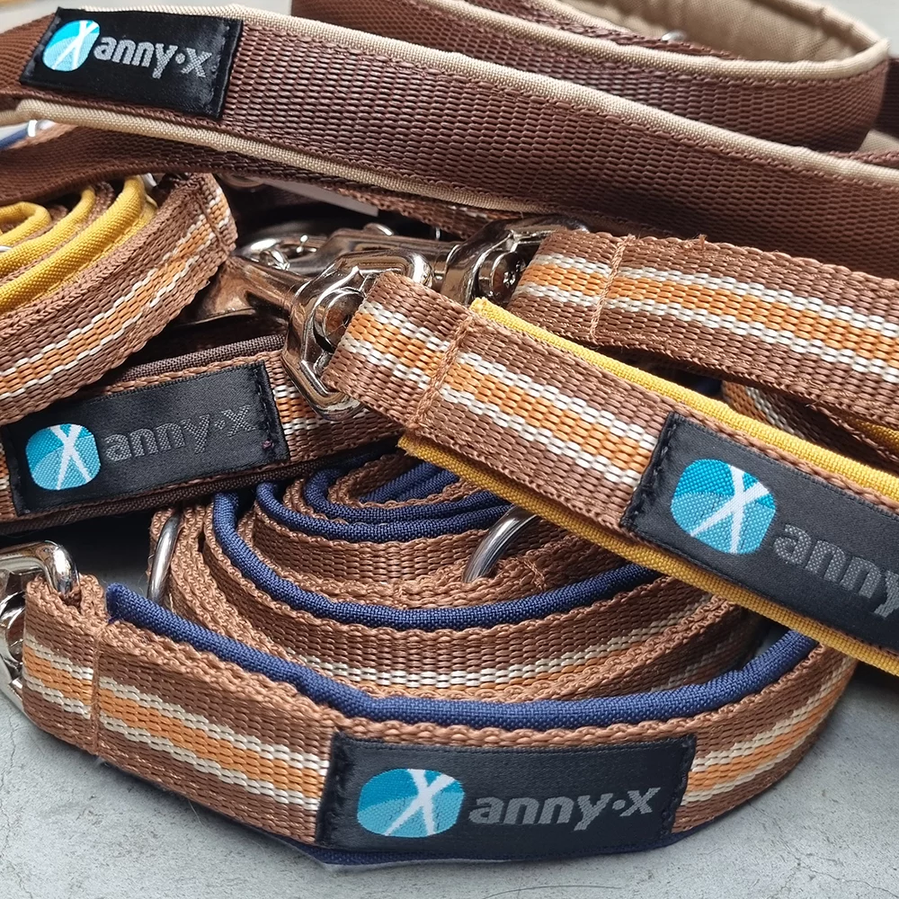 Führleine Classic Bolt Fun Hundeleine Limited Herbst Edition