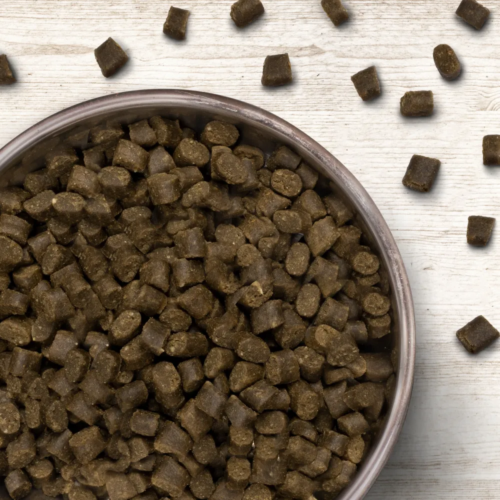 Wildborn Soft Iberico Trockenfutter für Hunde