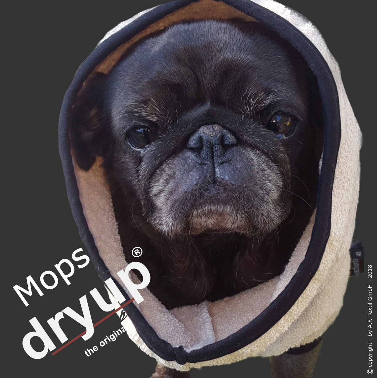 dryup cape "Mops & Co." Hundemantel