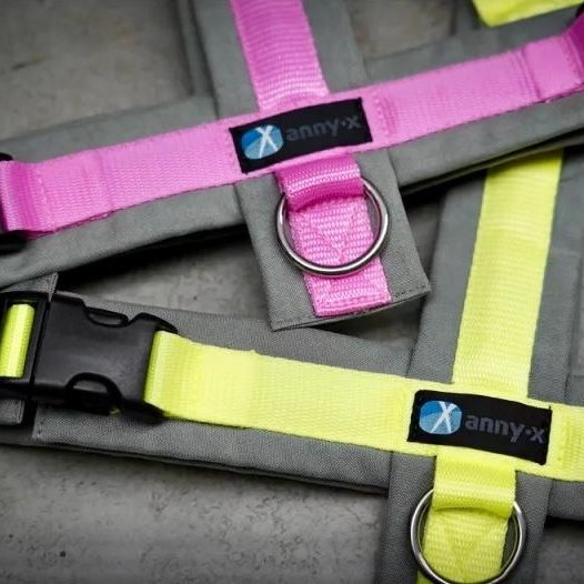 anny x Brustgeschirr FUN Ltd limone & rosé für Hunde