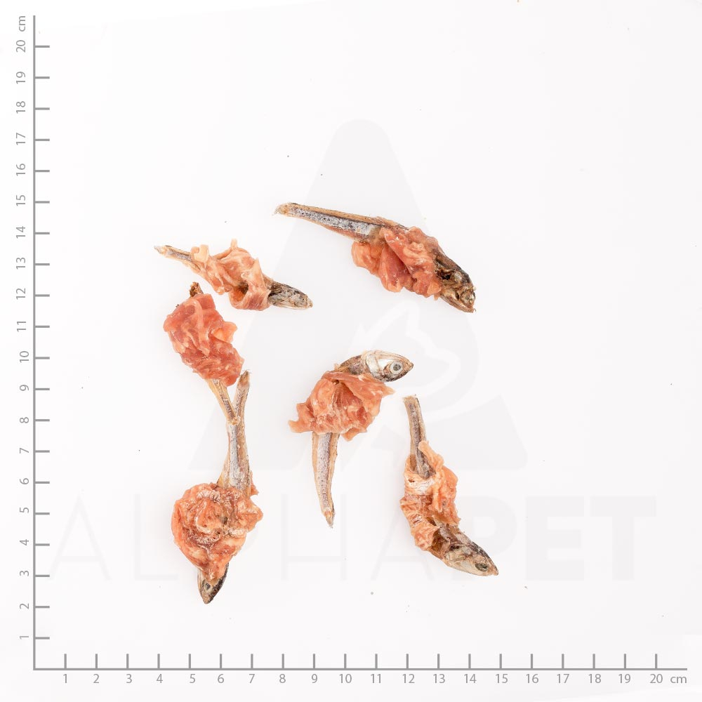 Wildes Land - Hühner­brust mit Fisch - Snack für Hunde & Katzen