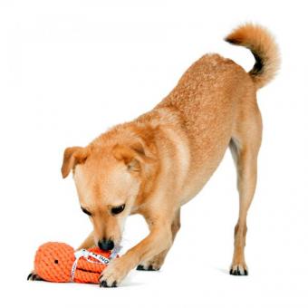 Thaddäus Tintenfisch