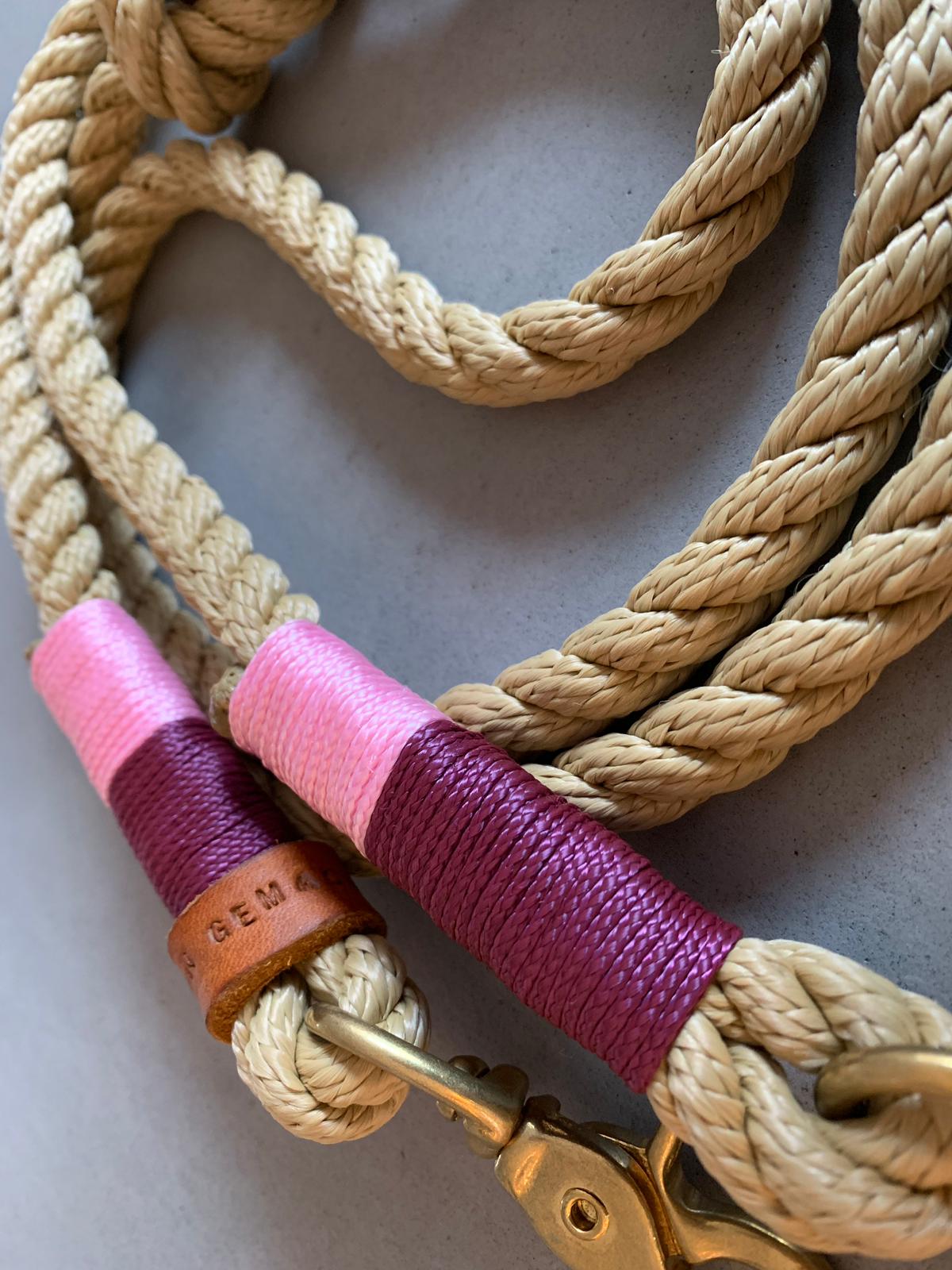 Tau- Leinenset für Hunde mit Schlupfhalsband