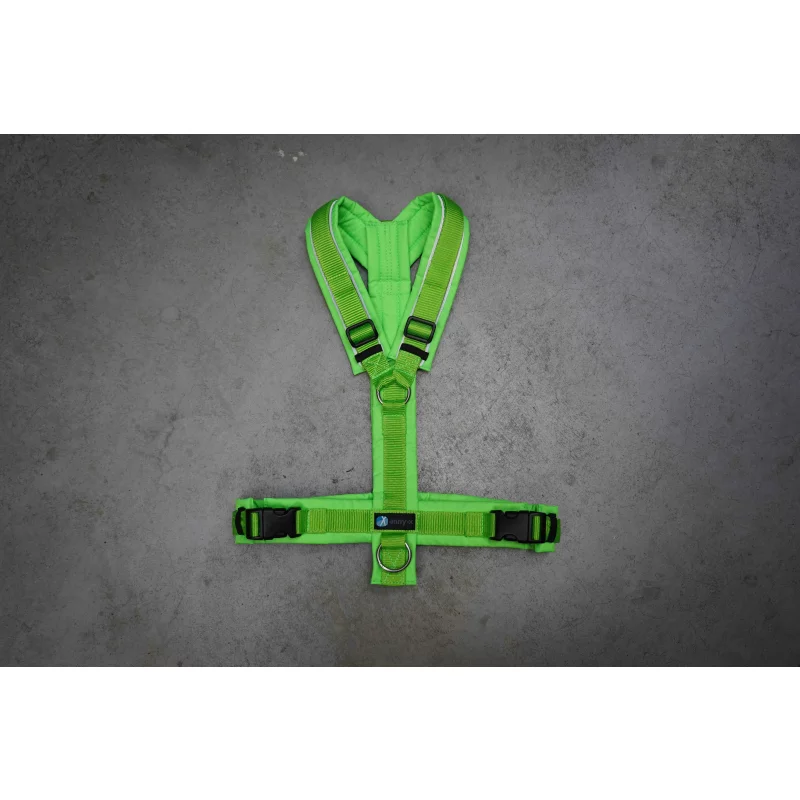 anny x Brustgeschirr PROTECT Limited Edition leuchtgrün/hellgrün