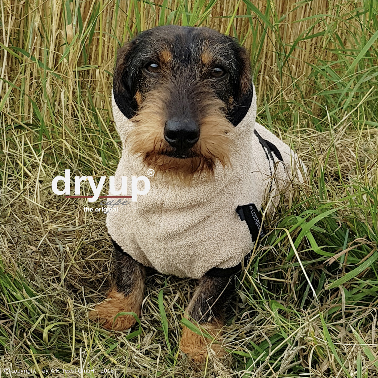 dryup cape "DACKEL" Hundemantel