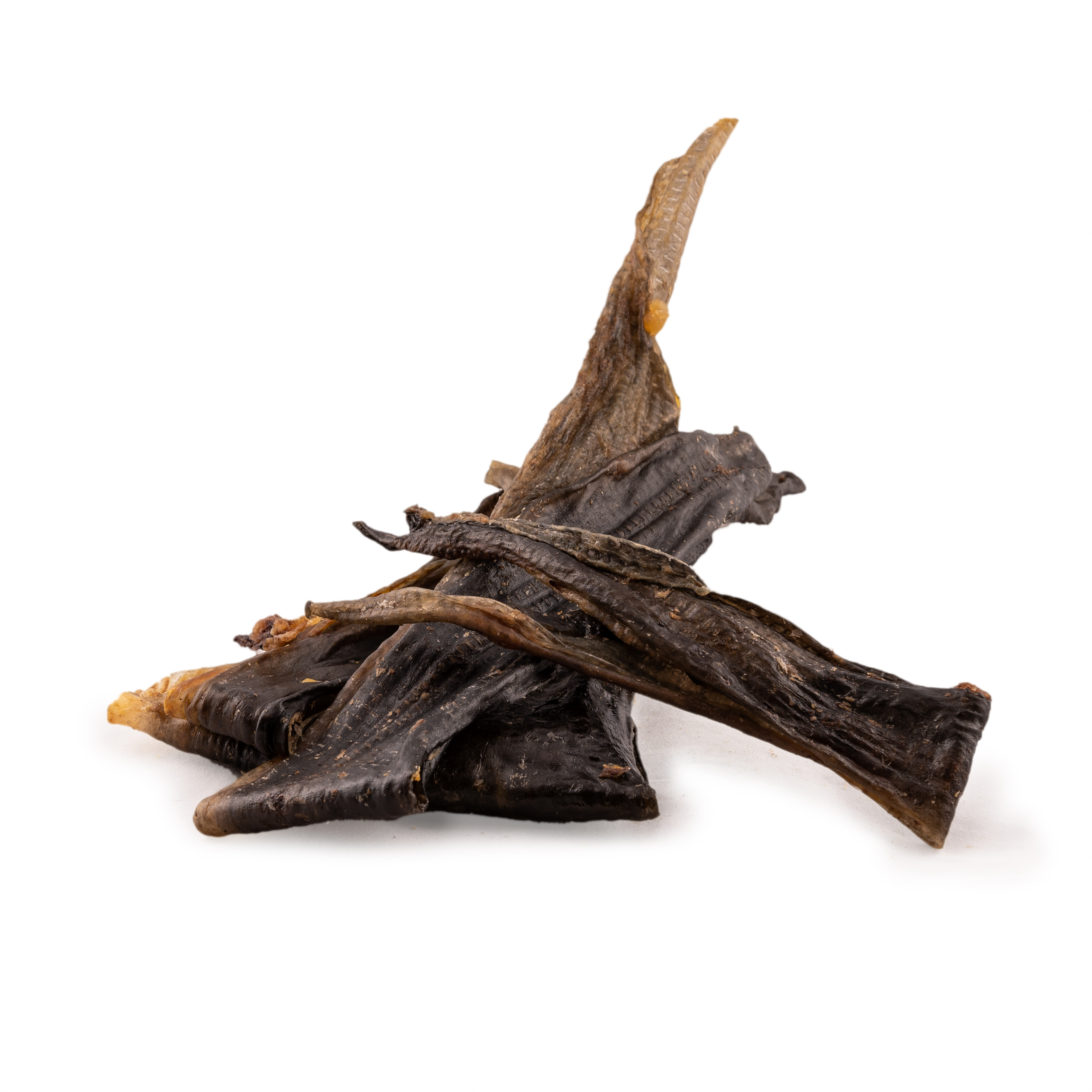 Wels Haut Kauartikel für Hunde