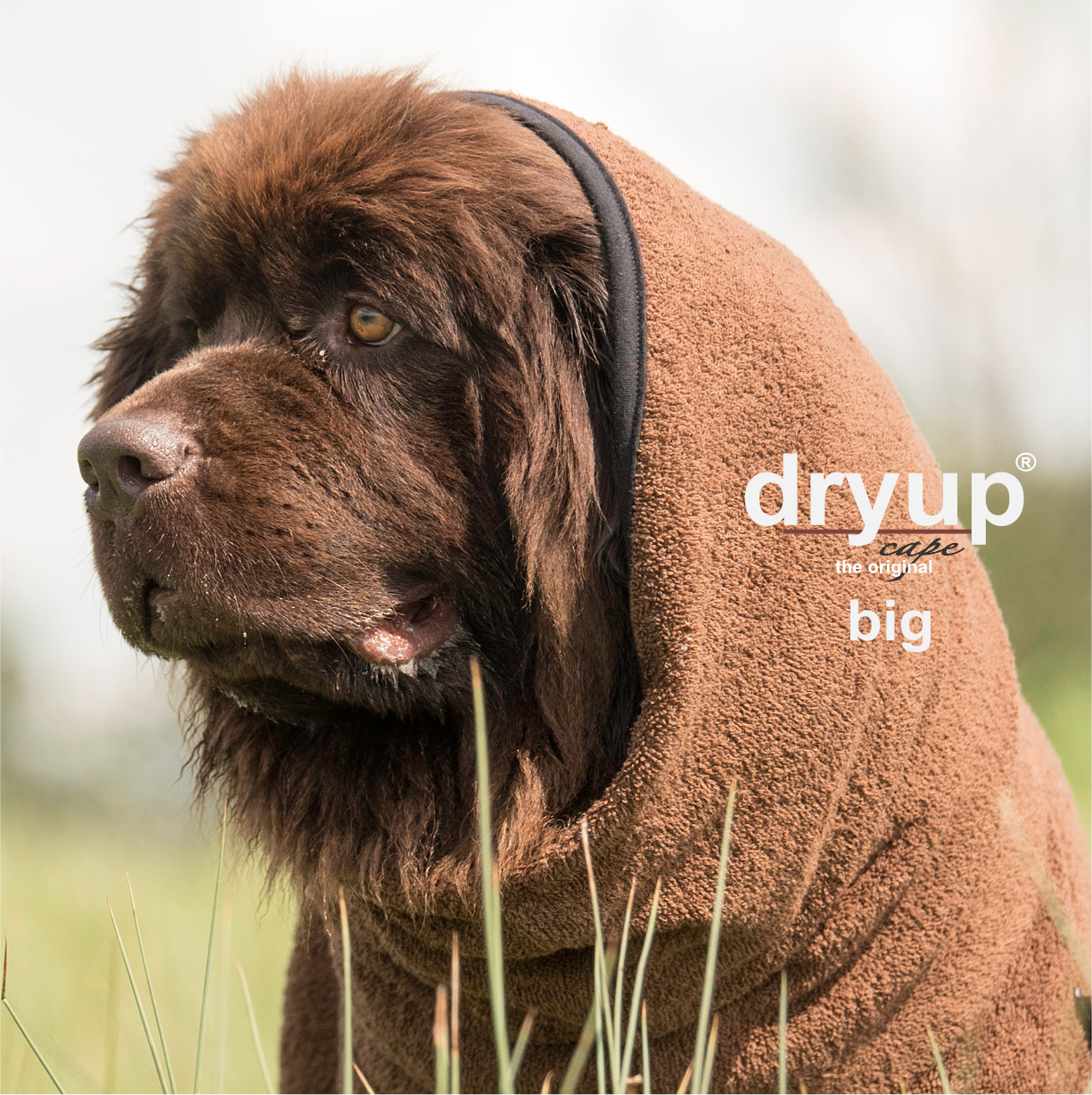 dryup cape "BIG" Hundemantel