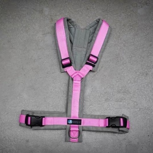 anny x Brustgeschirr FUN Ltd limone & rosé für Hunde