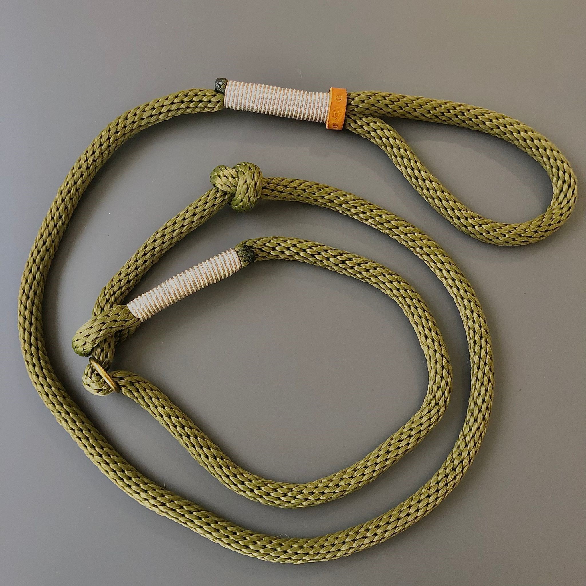 2-farbige PPM Retrieverleine Caya