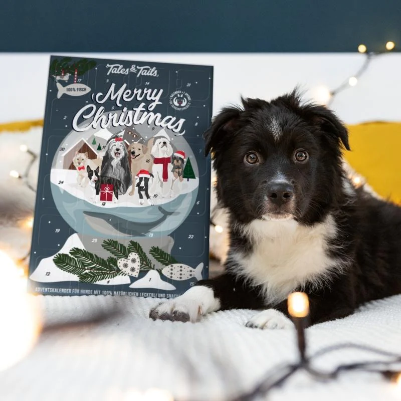 Tales&Tails Adventskalender für Hunde – in 2 Sorten 100% Fisch  oder 100% Fisch & Fleisch