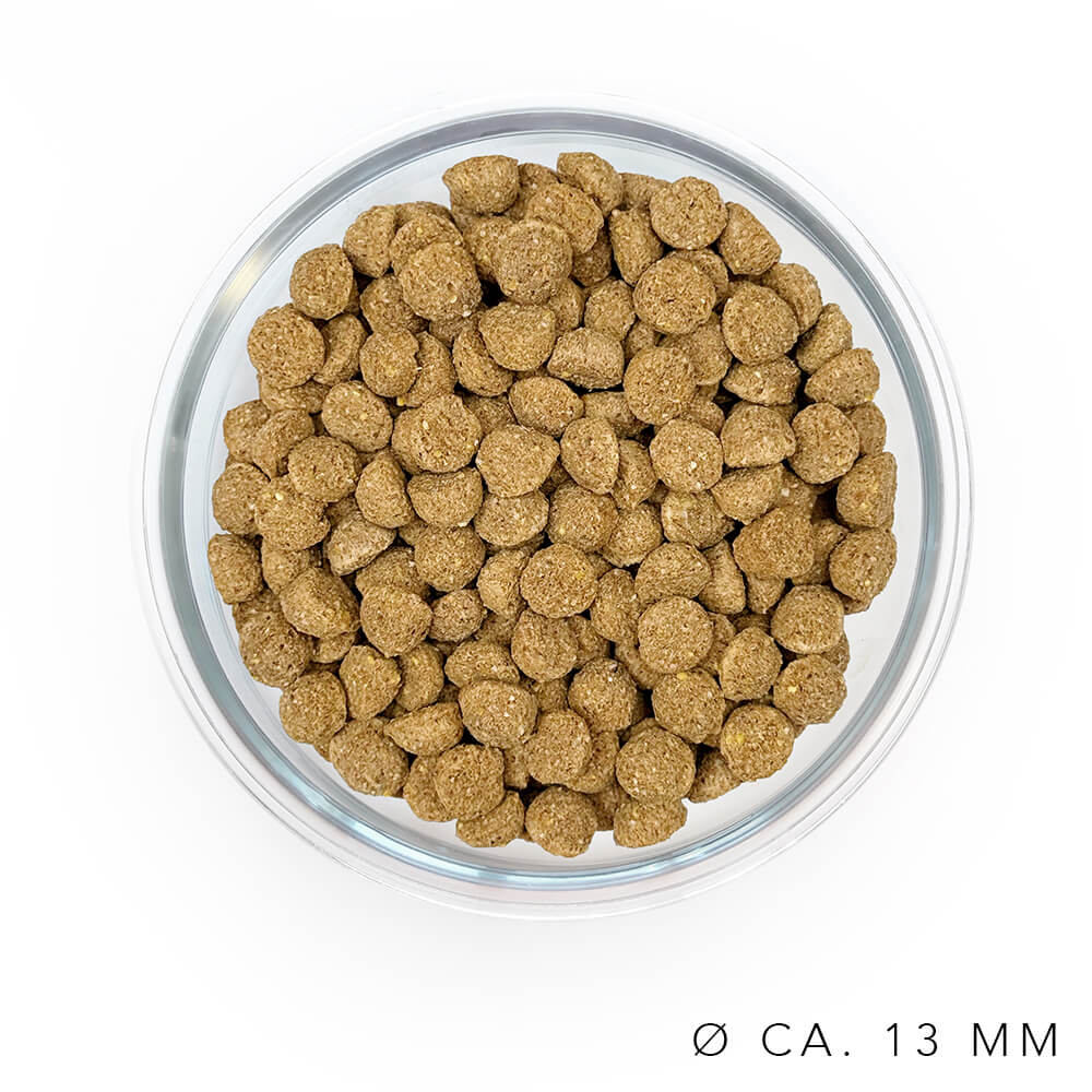 Maisterwerk - Veganes Hundefutter