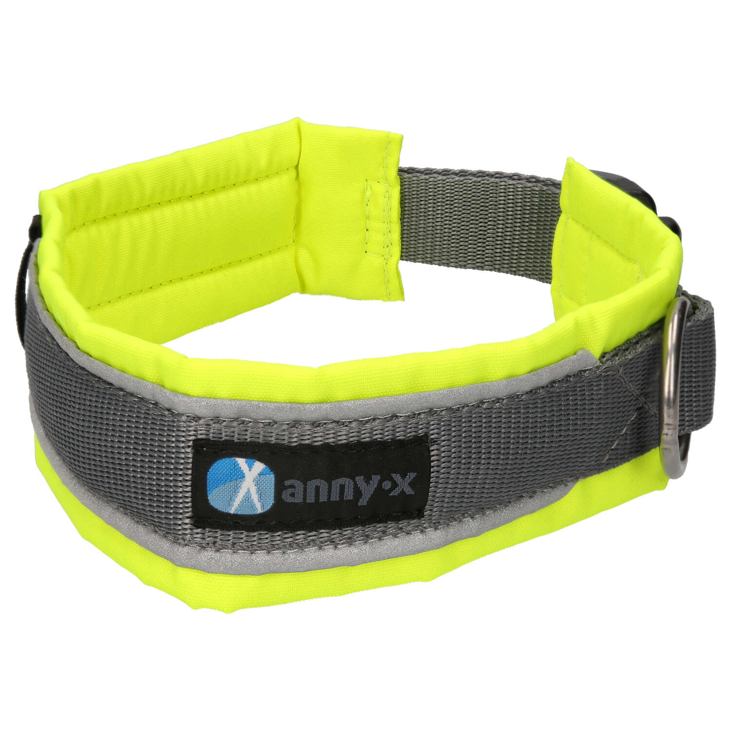 Gepolsterte Steckhalsbänder für Hunde Protect