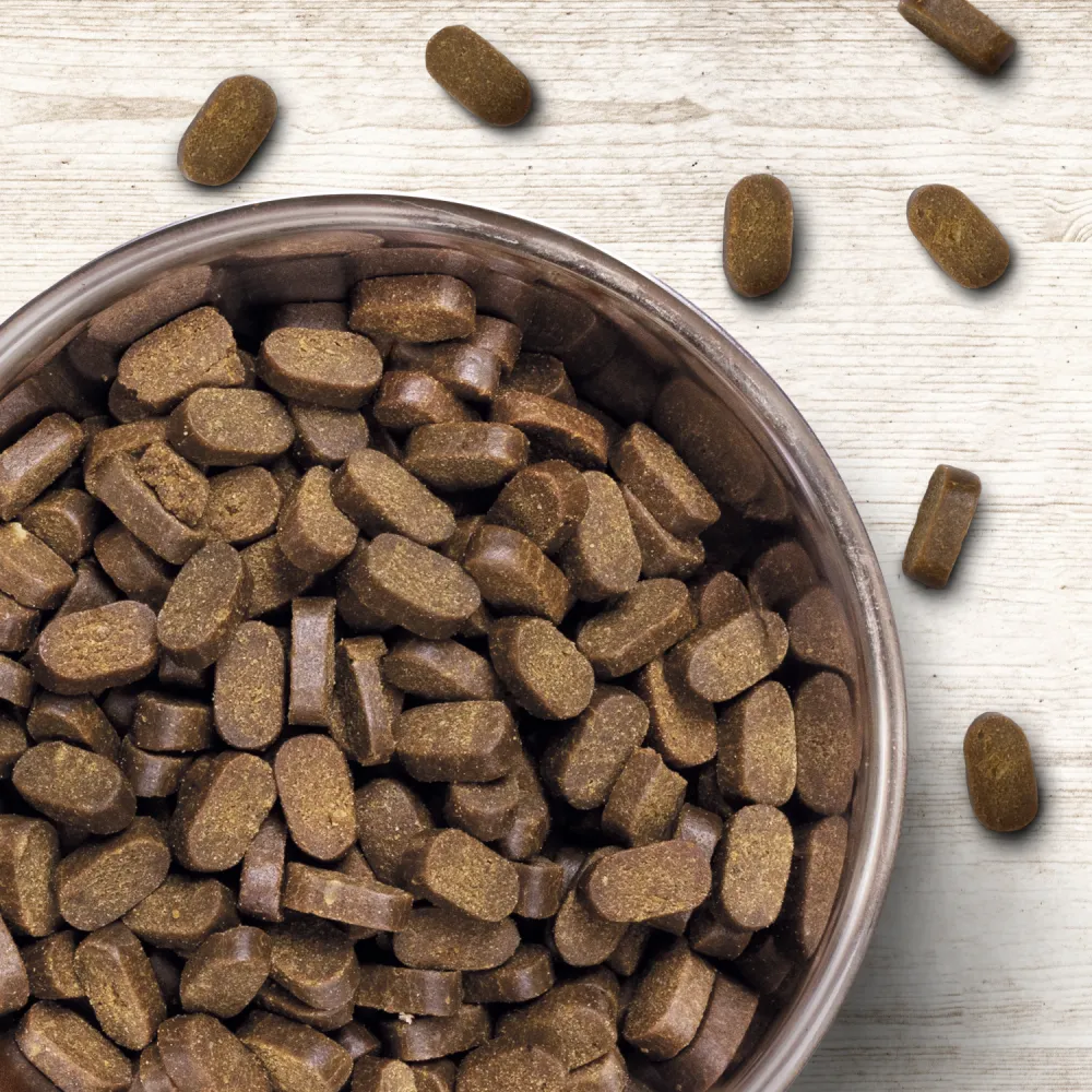 Wildborn Soft Jewel Maxi Softfutter für Hunde - Huhn und Fisch