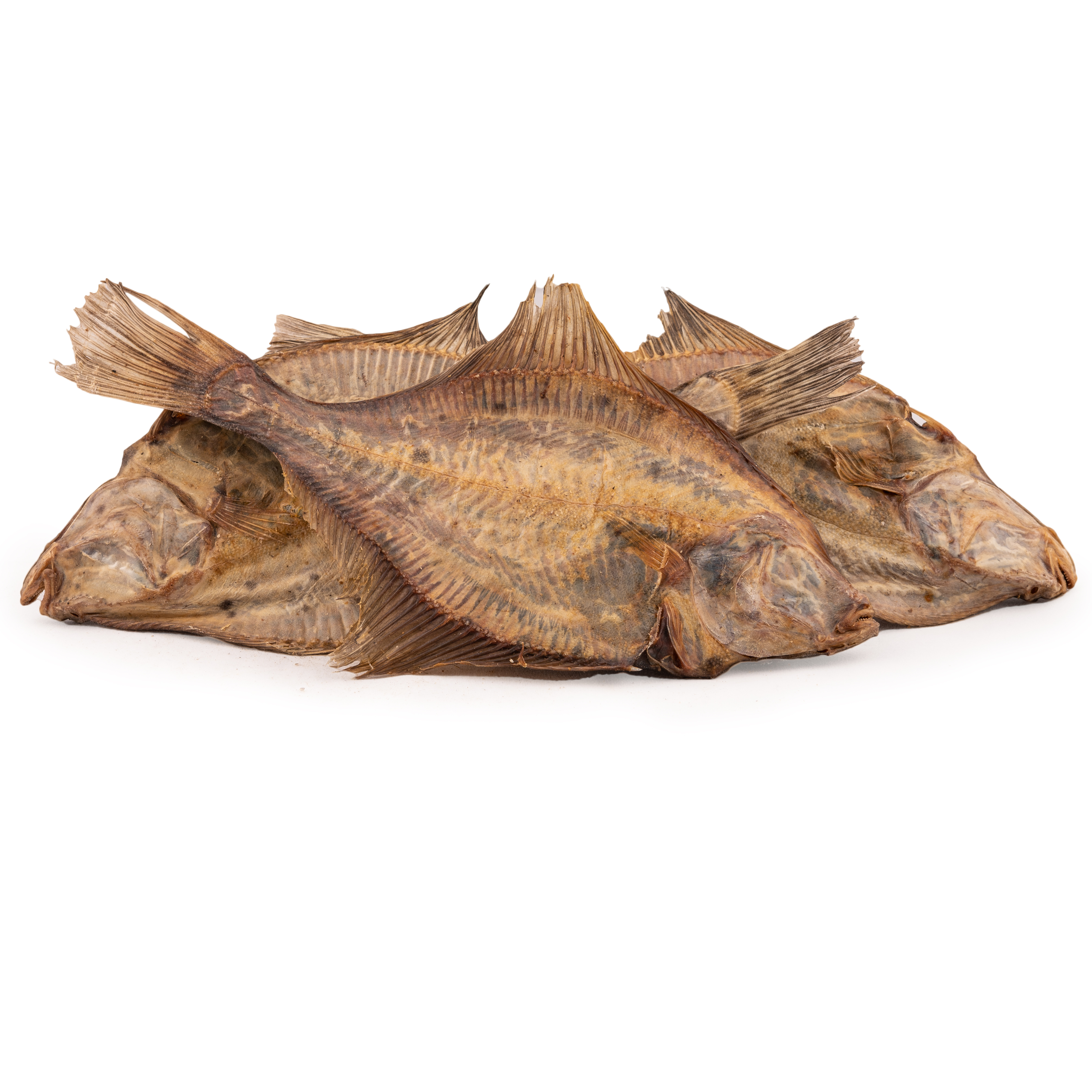 Flunder Kauartikel für Hunde